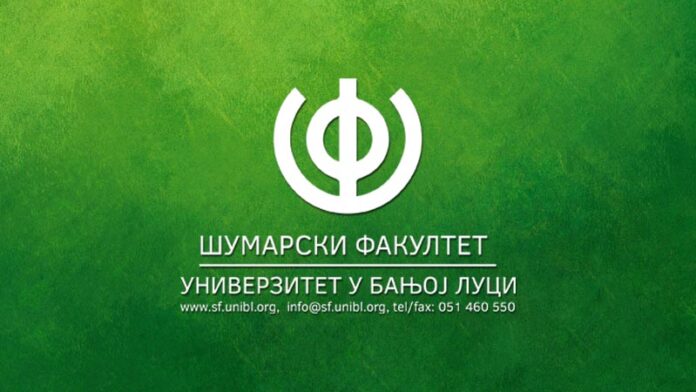 wall-sumarski26082021
