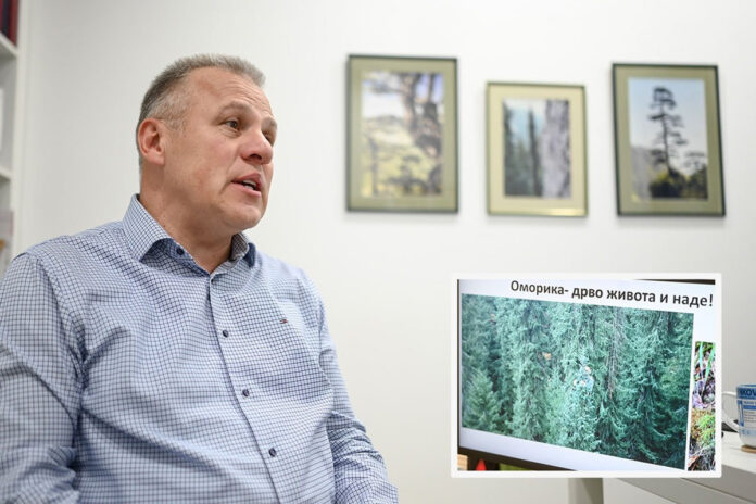 20251030180336_935324